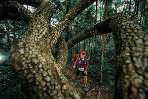 BIB: 
                            <button type="button" onclick="openModal(25393965)" class="btn btn-primary btn-sm float-right btn-popup" data-toggle="modal" data-target=".modal-high-quality">
                        <i class="fas fa-shopping-cart"></i> Add to Cart
                    </button>
                                            <button type="button" onclick="isThisMe(25393965, true)" class="btn btn-success btn-sm float-right btn-popup btn-isme hidden" data-toggle="tooltip" data-placement="bottom" title="นี่คือรูปของคุณใช่ไหม คลิกที่นี่เพื่อเอาเข้าอัลบั้ม">
                        <i class="fas fa-plus"></i> Add to album
                    </button>
                    <button type="button" onclick="isThisMe(25393965, false)" class="btn btn-warning btn-sm float-right btn-popup btn-isnotme hidden">
                        <i class="fas fa-ban"></i> Remove from album
                    </button>